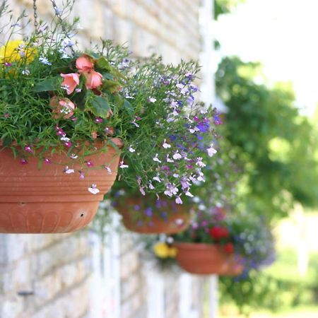 Crossways Wells Exterior foto Flower pots
